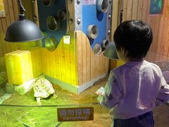 -太奥幻太奇海洋馆