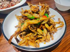 青蛙-董厨煨汤馆(车站路店)