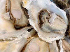 -千岛蚝高压锅生蚝·人参火锅(白云万达店)