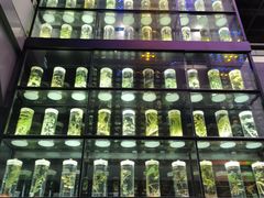 -广东中医药博物馆