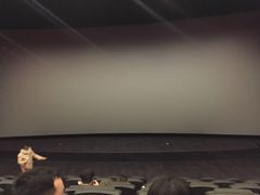 -万达影城 (甘井子万达广场IMAX店)