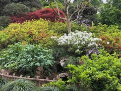 -西湖外事游船(花港观鱼码头)