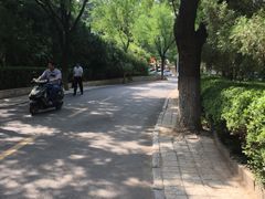 -山东大学(趵突泉校区)