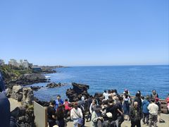-龙头岩(Dragon Head Rock)