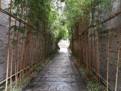 -龙潭水乡