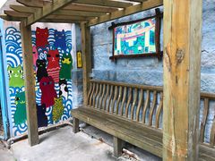 -猫咪博物馆(顶澳仔猫街店)