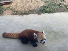 -杭州野生动物世界