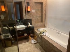 -河源万绿湖美思威尔顿酒店