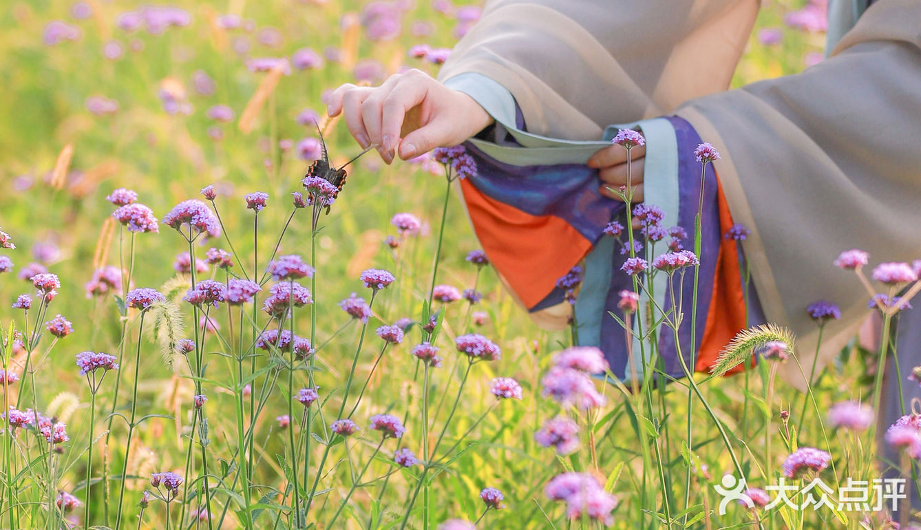 江浙沪的小京都｜无锡灵山小镇拈花湾梵天花海拍照功略