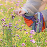 江浙沪的小京都｜无锡灵山小镇拈花湾梵天花海拍照功略