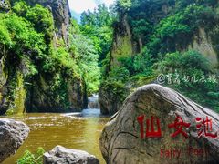 -茅兰沟国家森林公园