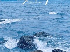 -大连自然博物馆