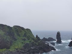 -涉地可支