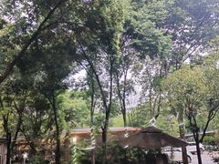 -凤来栖·净庭院·火锅(欧尚店)