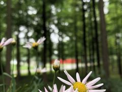 -瓦库茶馆17号(海汇港店)