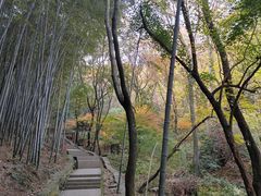 -穹窿山景区