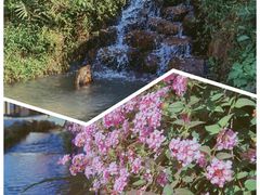 -广东天露山旅游度假区