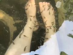 -西安国际创新人才交流中心•药浴温泉