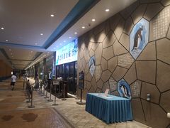 -帝企鹅自助餐厅•儿童岛•真企鹅(长隆企鹅酒店)