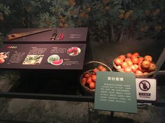 -台州博物馆