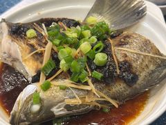 蒸盲槽鱼-荣发茶餐厅(龙琛路店)
