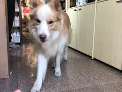 -豆舞咖啡(民乐路店)
