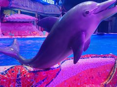 -大连圣亚海洋世界