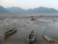-北岐滩涂