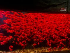 -多彩贵州城极地海洋世界