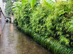 -九龙湾·御膳坊(九龙窠路店)