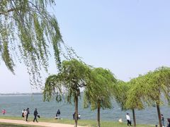 -丁香湖公园