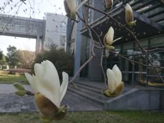 -同济大学(嘉定校区)