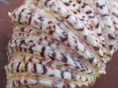 20121025_121842-老味道民宿(栈桥店)