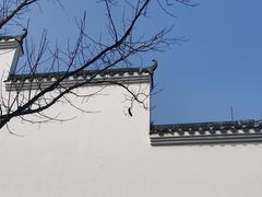 -洋湖国家湿地公园