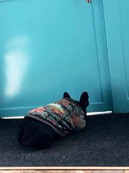 -U3日式美甲美睫