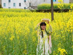 -桑洲油菜花景区