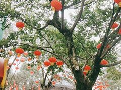 -重庆园博园
