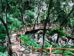 -大岭沟猕猴桃谷风景区