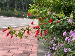 -广州莲花山旅游区