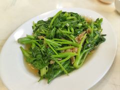 -日日香卤鹅饭店·澄海狮头鹅(澄海店)