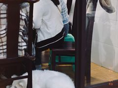 -洪霞餐馆