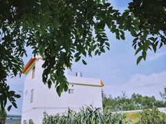 -龙华寺
