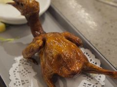 -郑猛记石岐鸽主题餐厅(长江店)