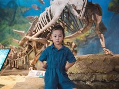 -自贡恐龙博物馆