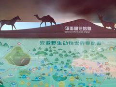 -安徽大青山野生动物世界