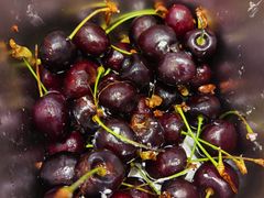 -KUNCHA鲲茶·江西制茶(铜锣湾店)