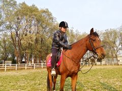 -北京群众马术培训基地