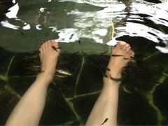 -天目湖涵田度假村