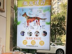 -派联宠物医院·24h·CT·异宠
