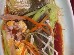 -前海沿·青岛菜(乐客城店)